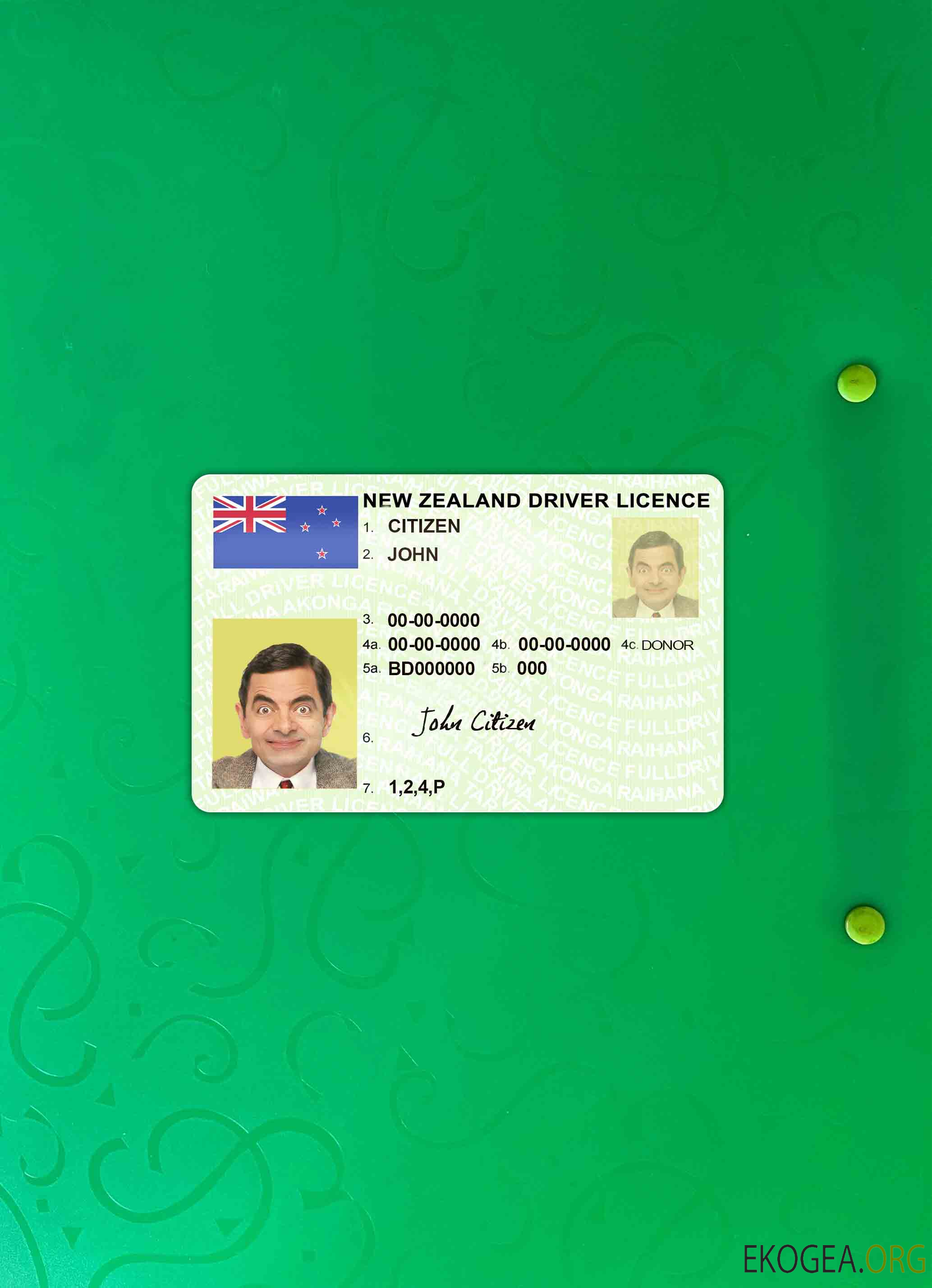 Permis de conduire vert néo zélandais (pleinement qualifié) photolook AVANT